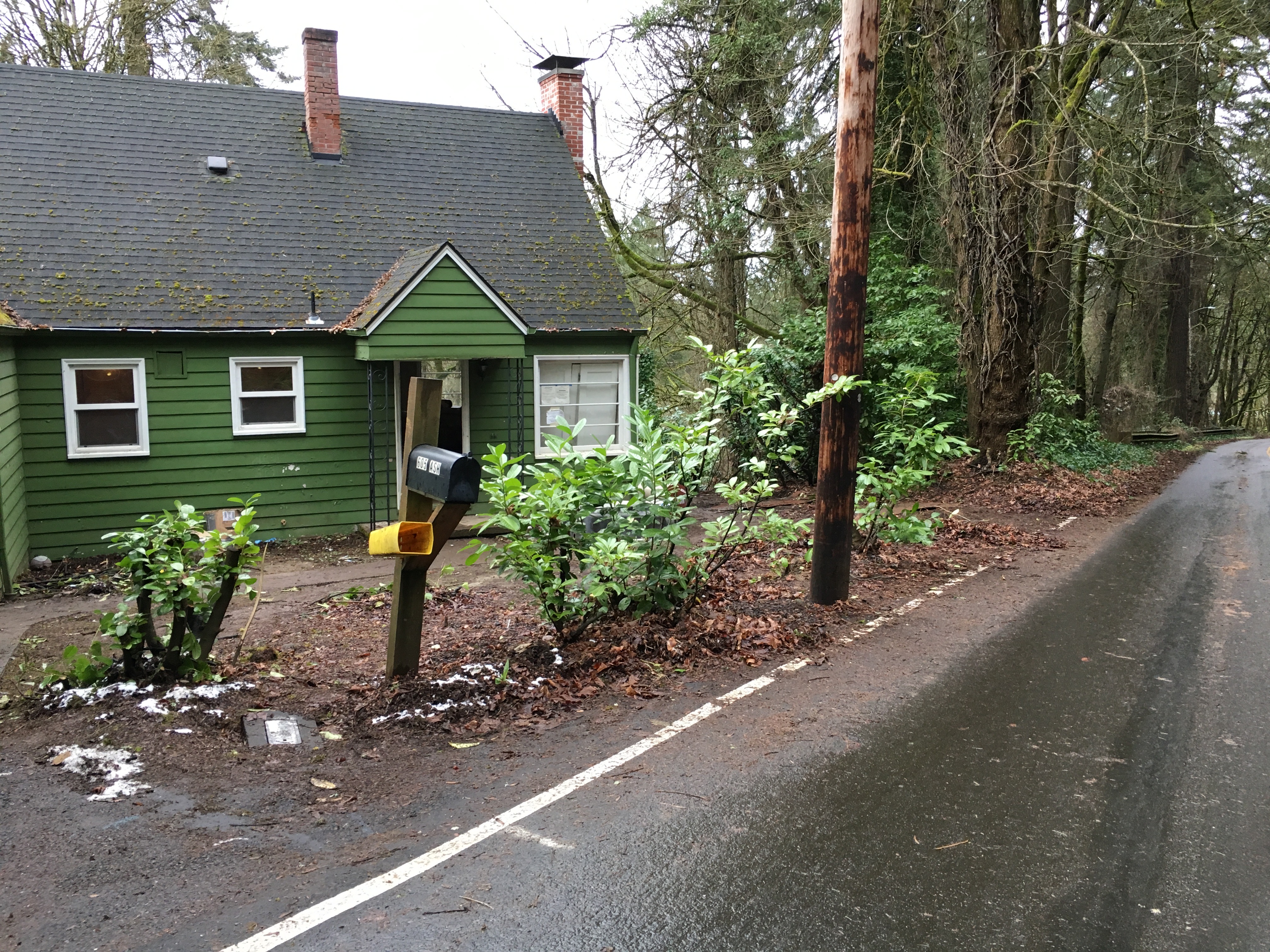 Before — Lake Oswego composite shingle roof